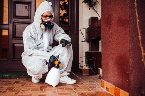 Reliable Mosquito Control contractor in Rollingwood, TX by Show Me Pest Control